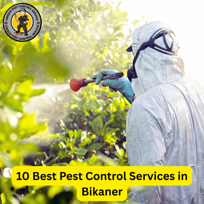 Best Pest Control Services in Bikaner