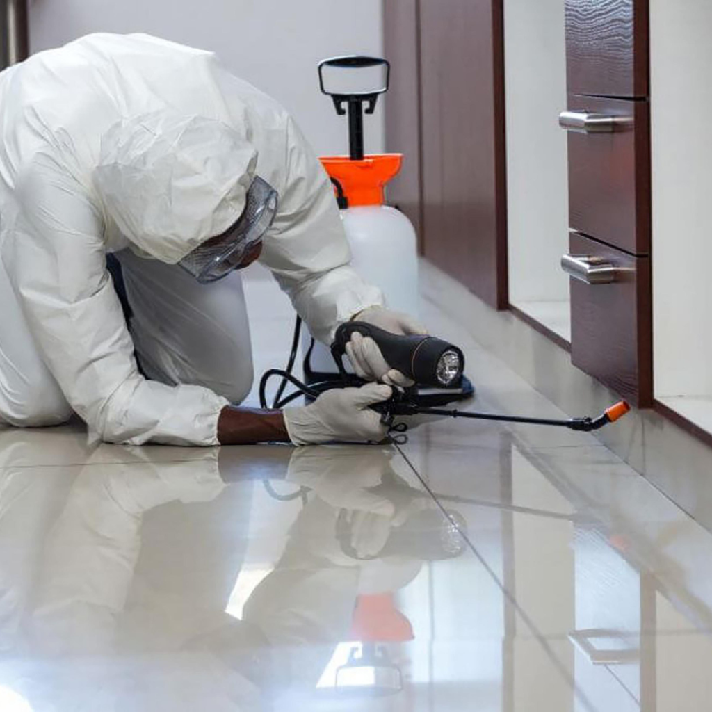 Pest Control in Bikaner